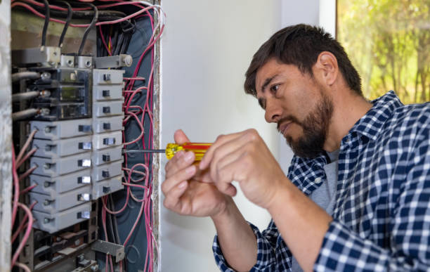 Best Electrical Remodeling Services  in Homer, AK